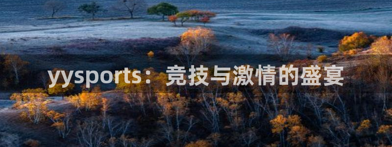 360足球比赛直播雨燕：yysports